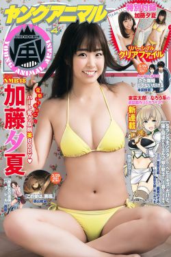 驱动程序包